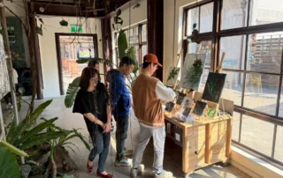 2026-02-10-02-24植迷雨林秘境展